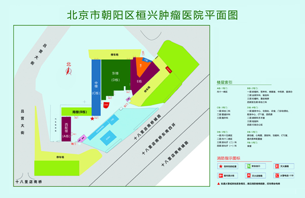 肏逼啊啊啊不要69xx北京市朝阳区桓兴肿瘤医院平面图